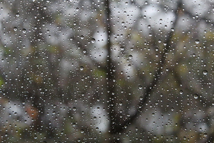 dia de pluja, gota d'aigua, degoteig, mullat, trist, tranquil, l'aire lliure