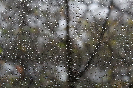 regnvejrsdag, regndråbe, drop, våd, Trist, rolig, udendørs