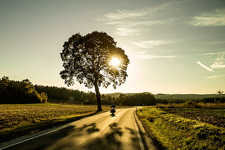 мотоциклет, дърво, залез, вечерта, небе, пейзаж, природата