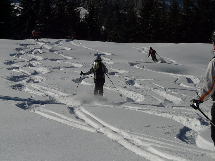skiløb, skiløbere, afgang, dyb sne, landingsbane, vinter, kolde