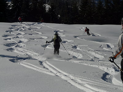 スキー, スキーヤー, 出発, 深い雪, 滑走路, 冬, 冷