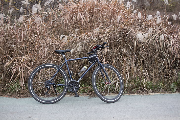 ไฮบริดสลี, รถจักรยานไฮบริด, ยิ้มเบอร์กอส, เบอร์กอส, จักรยานยิ้ม, จักรยาน, จักรยานสีดำมอลลี่