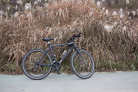 hybridné, hybridné bicykle, úsmev burgos, Burgos, úsmev na bicykli, Bike, Black molly bike