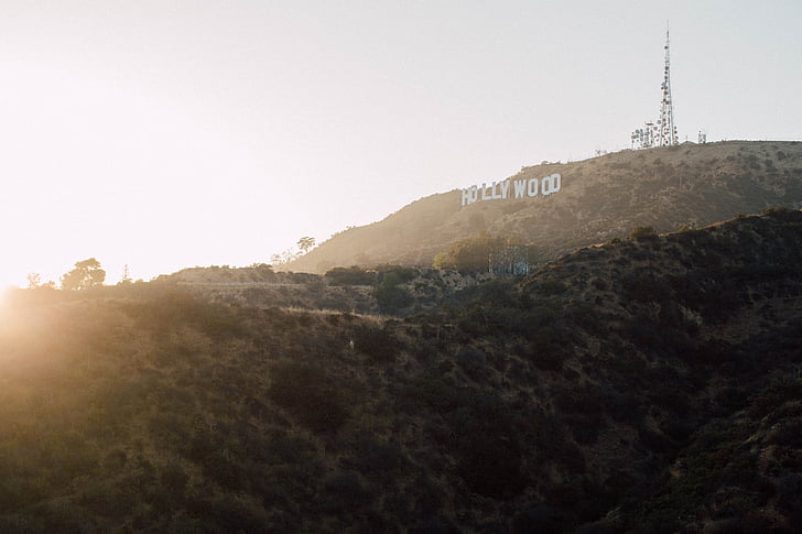 foto, Hollywood, brīvi stāvošā, organizācija, kalns, saule, apgaismojums