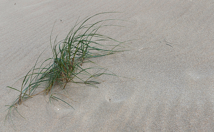 Penhale sands, Perranporth, Cornwall, Beach, rannat, Sea, Coast