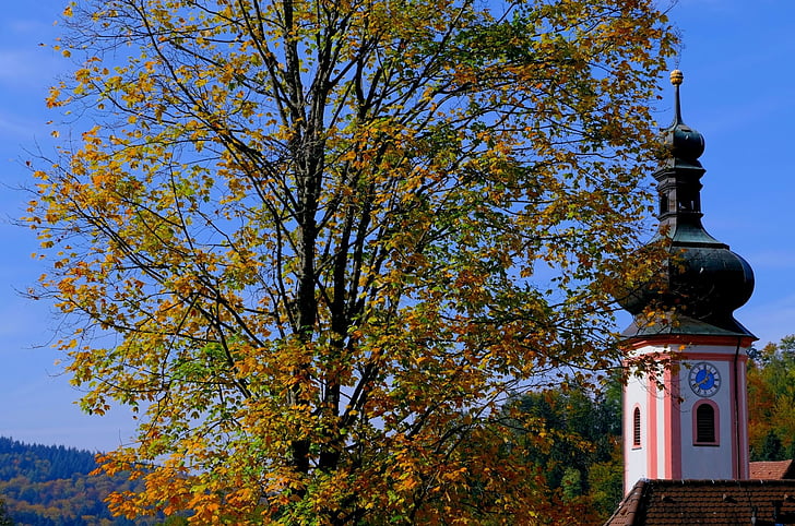bažnyčia, bokštas, pastatas, rudenį, Architektūra, medis, dangus