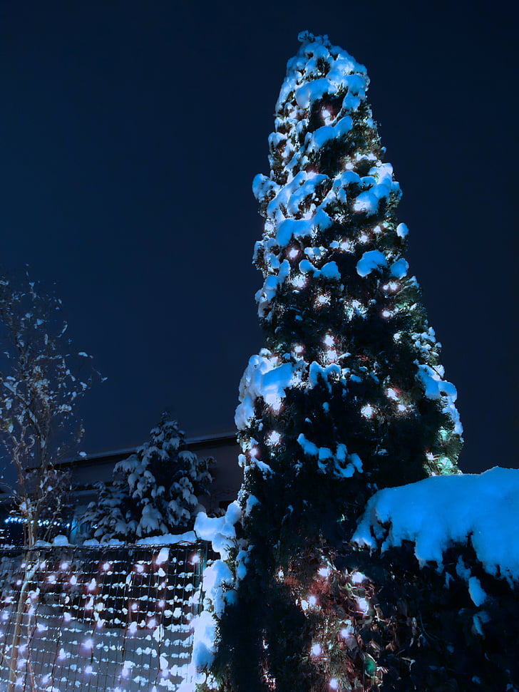 Christmas, lumières de Noël, neige