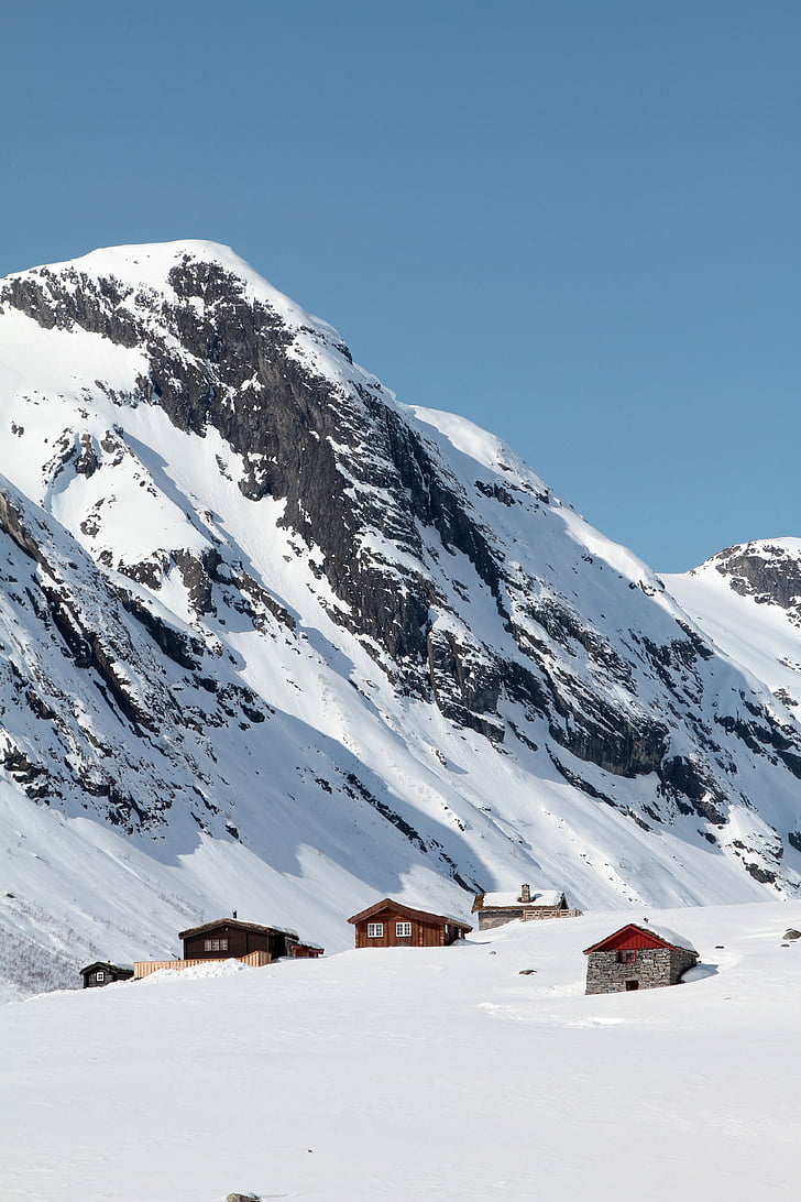 four, brown, gray, house, surrounded, snow, mountain