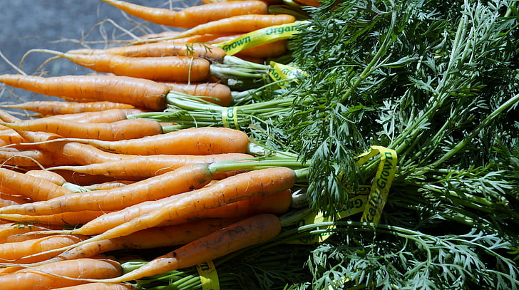 mrkva, povrća, poljoprivrednici na tržištu, hrana i piće, hrana, svježinu, zelena boja