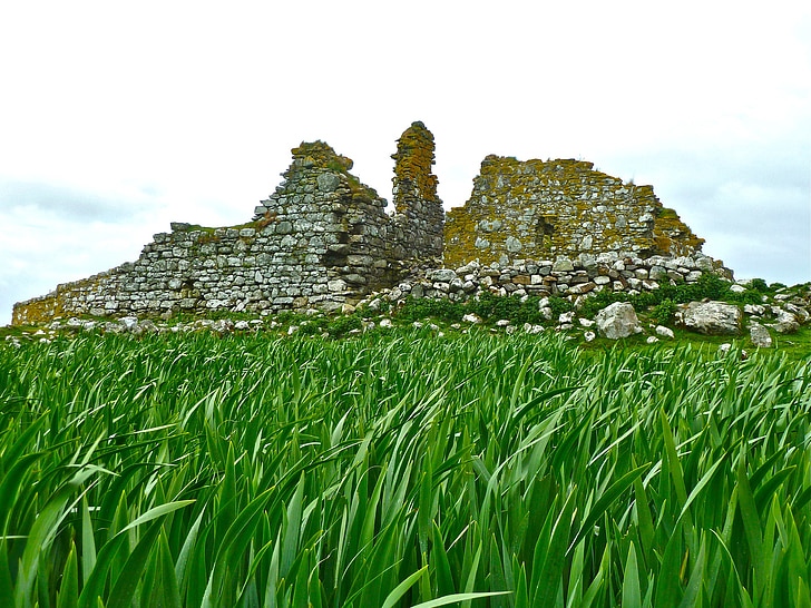 ruïnes, herba, ruïna, antiga, històric, les antigues ruïnes, històric