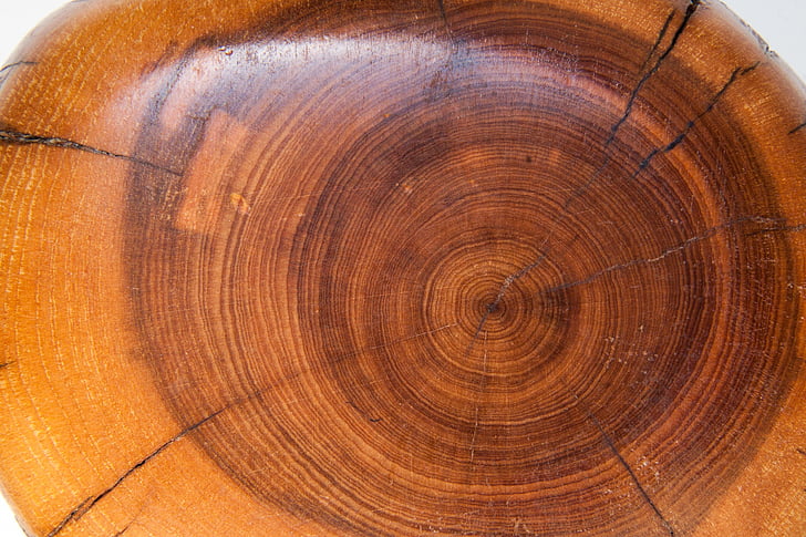 fusta, anells anual, estructura, fons, lacat, marró, ocre