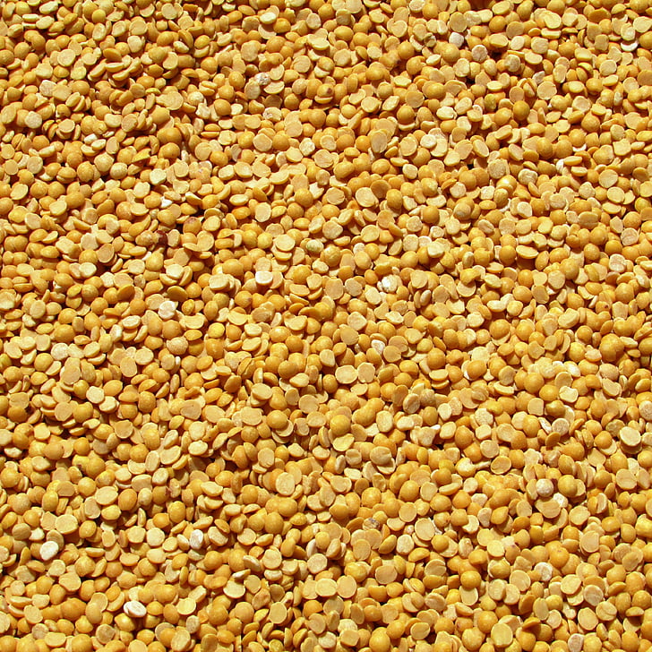 kacang polong, Dharwad, India, tanaman, dipanen, pertanian, pertanian