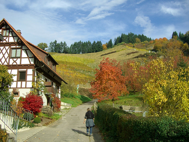 vineyard, autumn, colorful, fachwerkhaus, sky, blue, oberkirch