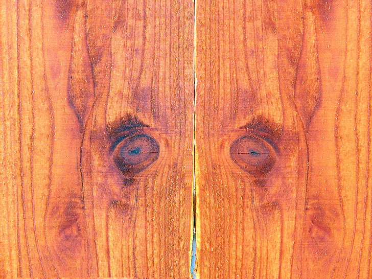wood background, wood, background, fence, eyes, wooden fence, texture