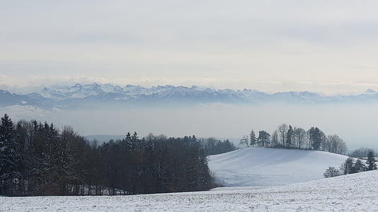 kalns, sniega, ziemas, Šveice, Swiss, Rigi, daba