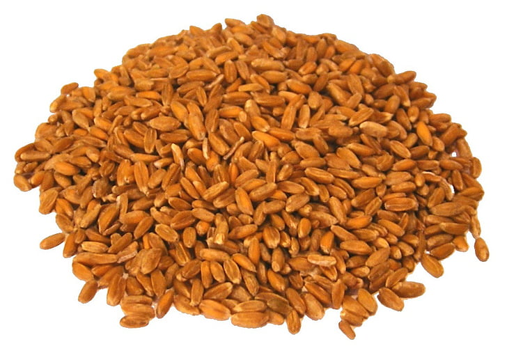Ячмінь, зерна, Зернові, цільна пшениця, інгредієнт, Пшениця, жито
