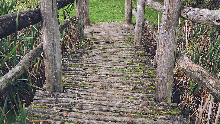dřevo, Most, parku