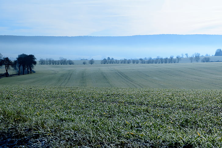 landscape, frozen, hoarfrost, arable, frost, cold, agriculture