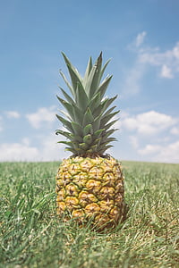 fermer, photo, ananas, fruits, alimentaire, herbe, fruits