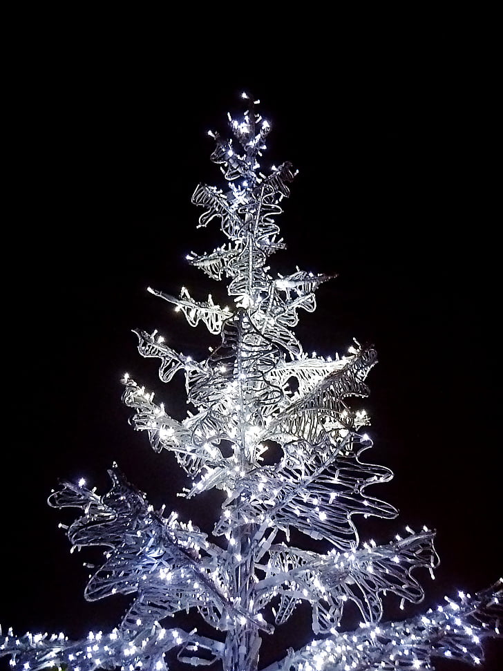 puu, jõulupuu, elektriline jõulupuu, must, jõulud, valgustus