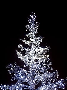 树, 圣诞树, 电动圣诞树, 黑色, 圣诞节, 照明