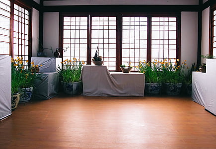vasi di fiori, fiori, tabelle, Windows, pavimenti in legno