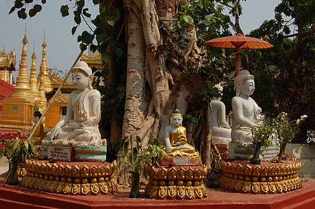 Bouddha, schwedaggon, Birmanie