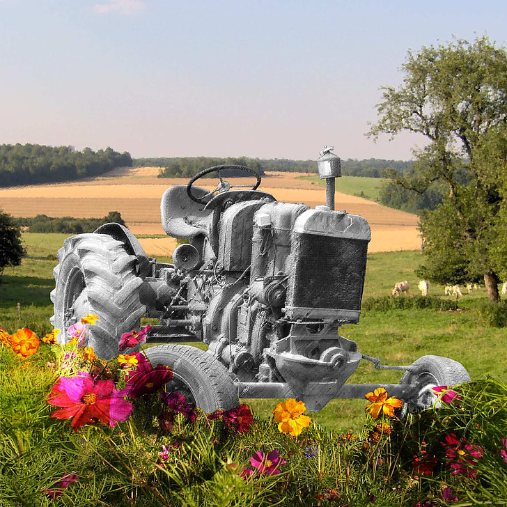 traktorius, fotomontažas, gėlės