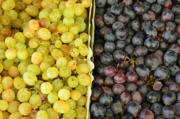 grozdje, barva grozdja, sadje, rdeča, bela, ekološko