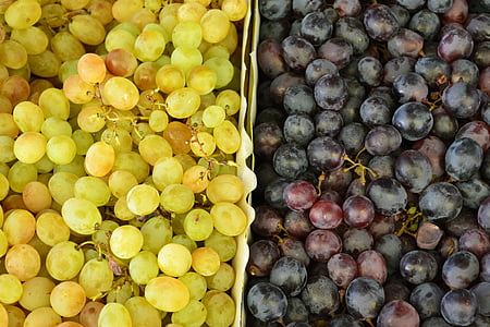druiven, druiven kleur, fruit, rood, wit, organische
