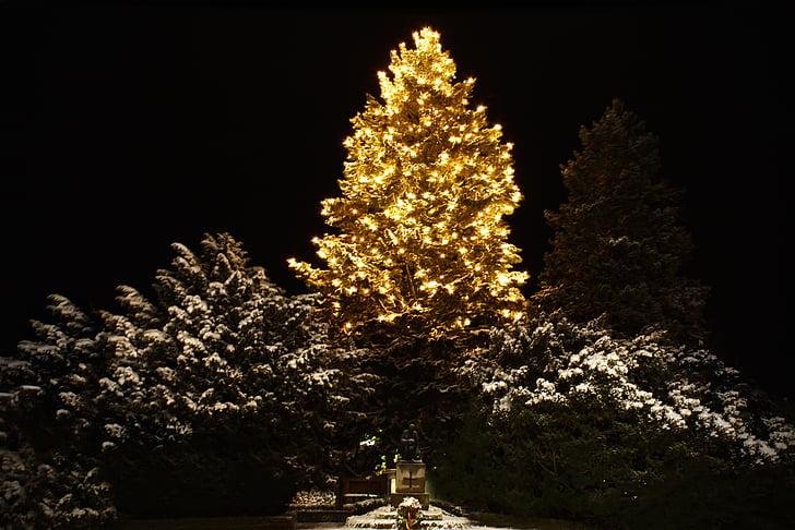Karácsony, weihnachtsbaumschmuck, zöld, Glaskugeln, hó, világítás, fa