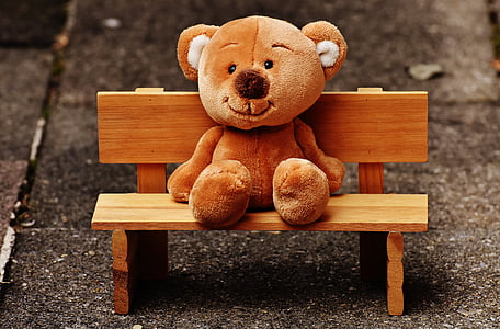 Teddy, Banco, sentarse, oso de, diversión, felpa, gracioso