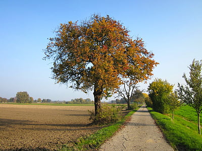 Alemanha, campos, céu, nuvens, paisagem, estrada, Outono