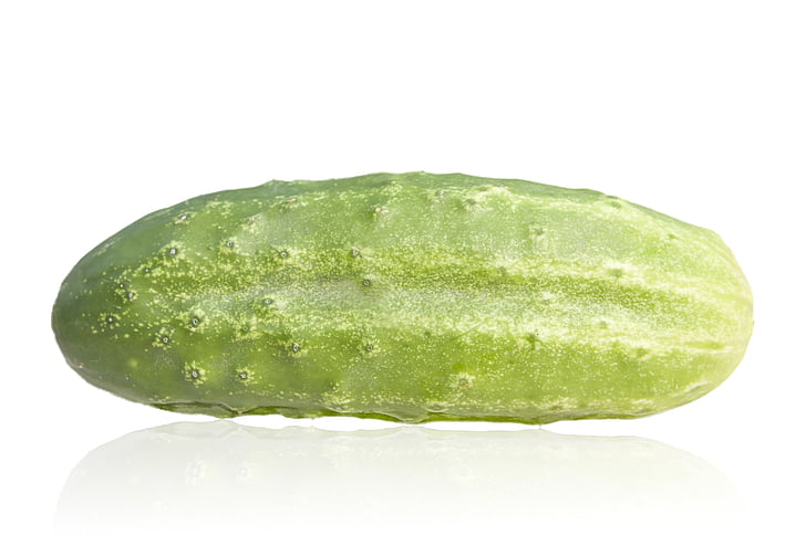 cucumber, the shadow of cucumber, vegetable, green cucumber