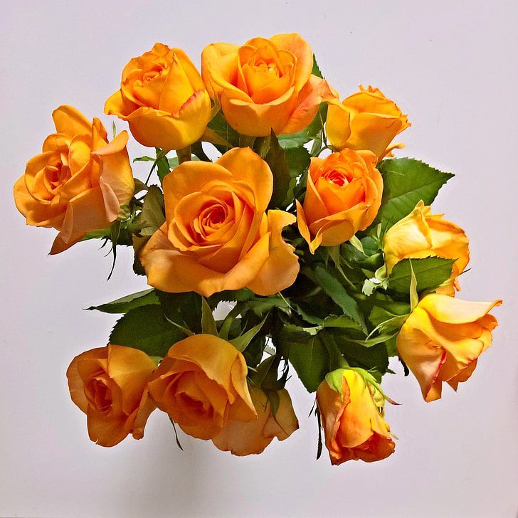 bouquet, roses jaunes, roses, parfumé, grandes fleurs, romantique, message d’accueil floral