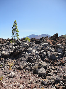 Teide, Tenerife, Kanárske ostrovy, Príroda, Pico del teide, Španielsko, El teide