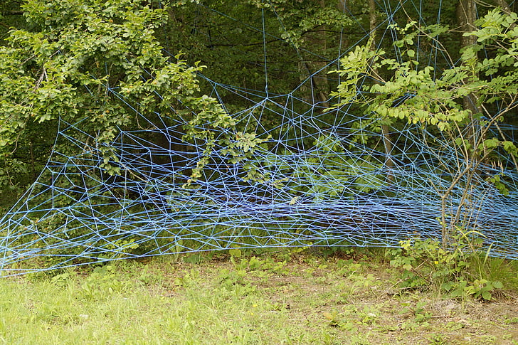 мрежа, синьо, клонове, lavizzara, заплита, плетеница, структура