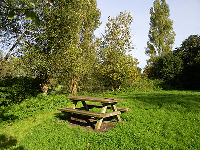 table, field, picnic table