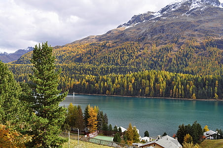 Санкт-Моритц Швейцария, Швейцария, красивое озеро