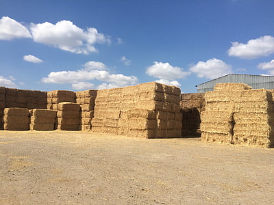 packages, wheat, stack, heaven, summer, agriculture, bale