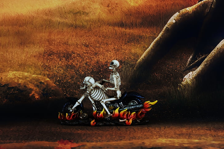 Biker, skelets, ložņājošs, tumsā, mistisks, drūmā, rudens