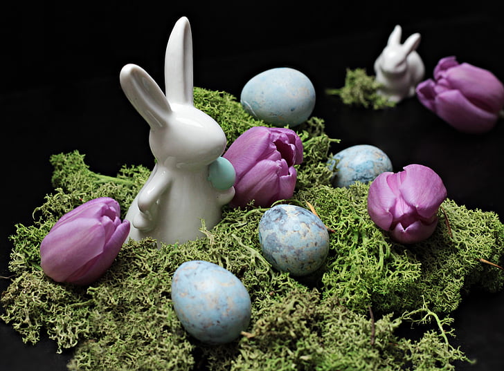 토끼, 부활절 토끼, 부활절, 봄, 그림, 튤립, 보라색