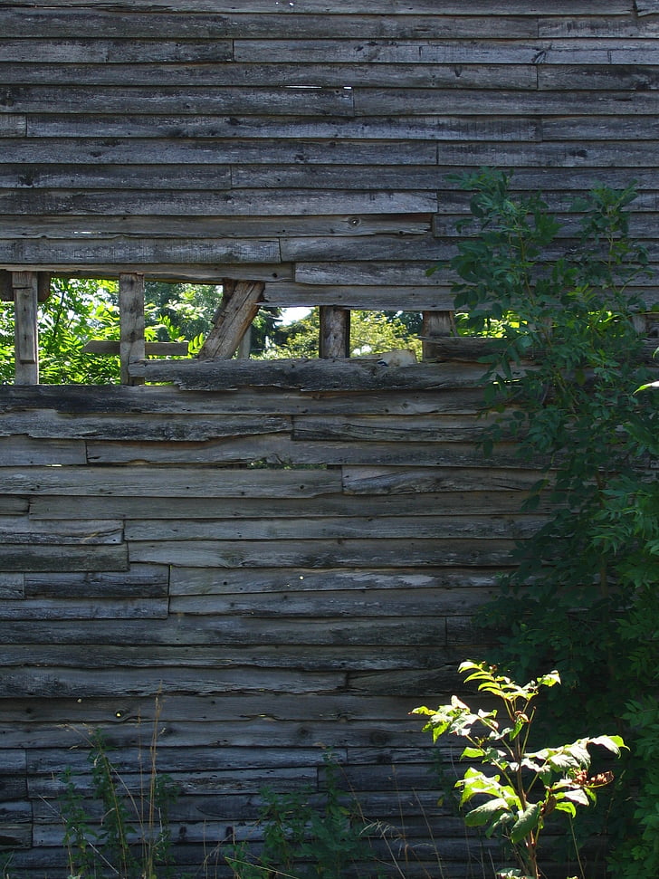 board, wall, vegetation, old house, wood - Material, nature