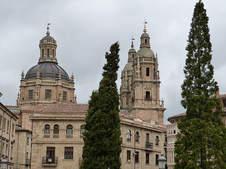 Salamanca, Espanja, historiallisesti, Kastilia, julkisivu, kirkko, Dom