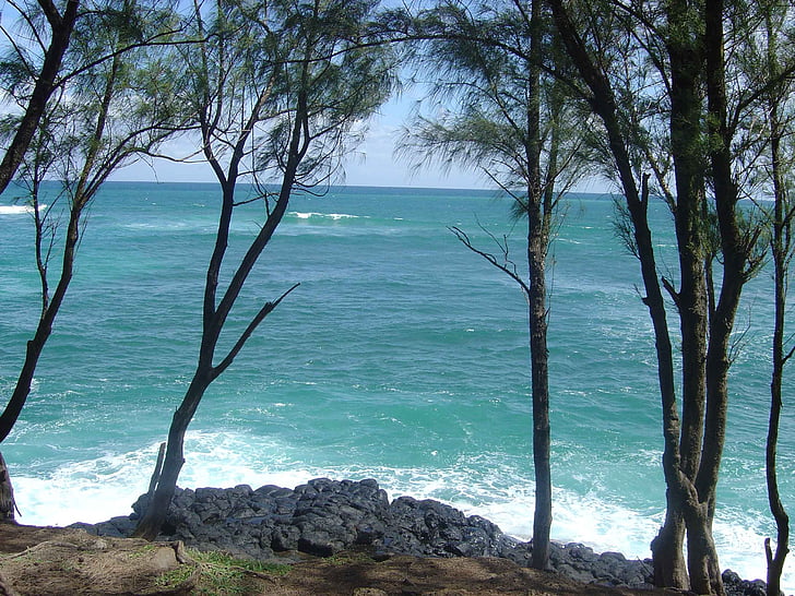 Havaj, oceán, pláž, Hawaii beach, Hawaiian, Letní dovolená, Surf