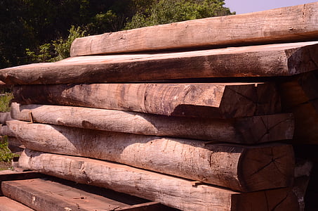 legno, legno naturale, silvicoltura, quercia, albero, legno duro, in legno
