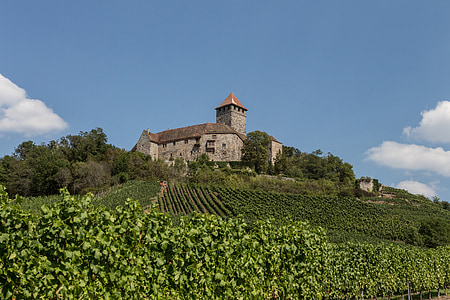 castle, middle ages, castle lichtenberg, vineyard, fortress, defend, old