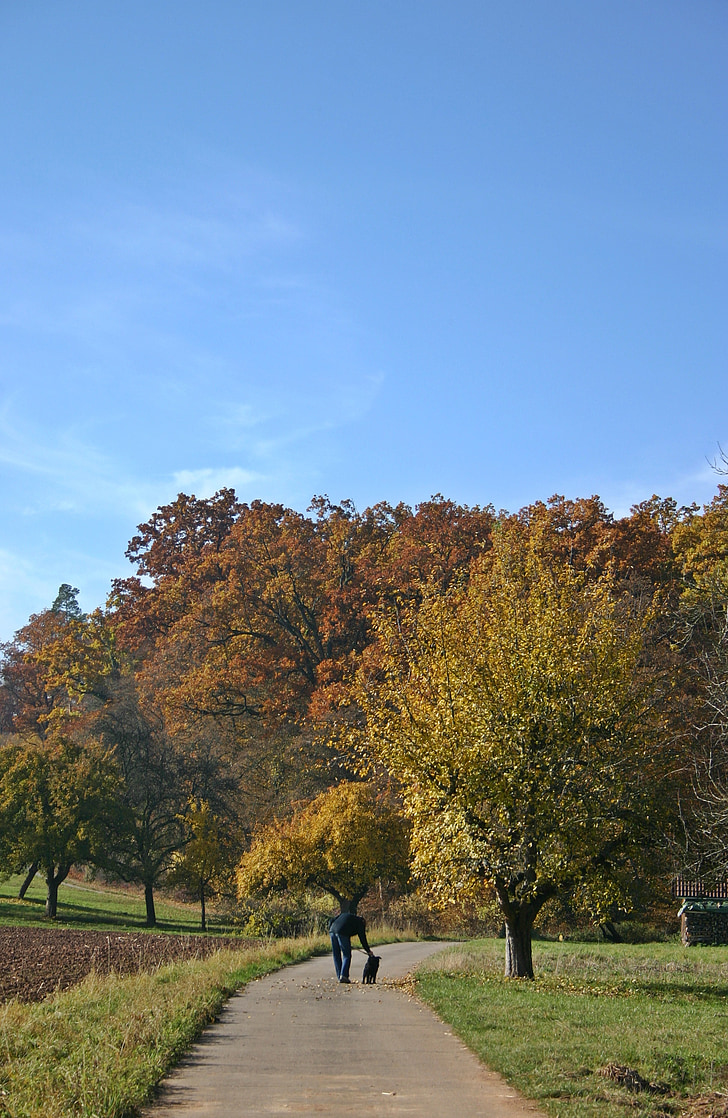 Осень, Прогулка, Осенние ходьбы, от отеля, пейзаж, Осенний пейзаж, Природа