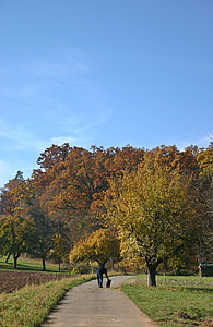 Herbst, zu Fuß, Herbst-Spaziergang, entfernt, Landschaft, herbstliche Landschaft, Natur
