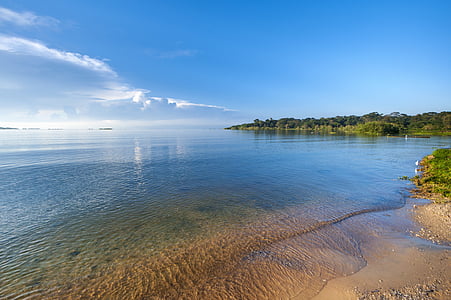 Viktorijas ezers, pludmale, Āfrika, Uganda, ainava, ezers, ūdens
